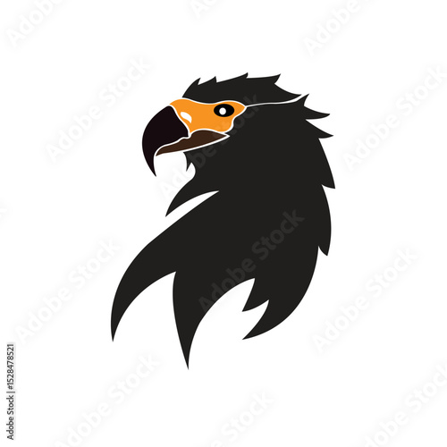 eagle head vector illustration