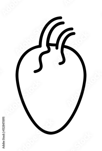 Simple outline drawing of a human heart.
 Stylized anatomical heart icon, minimalist design.
