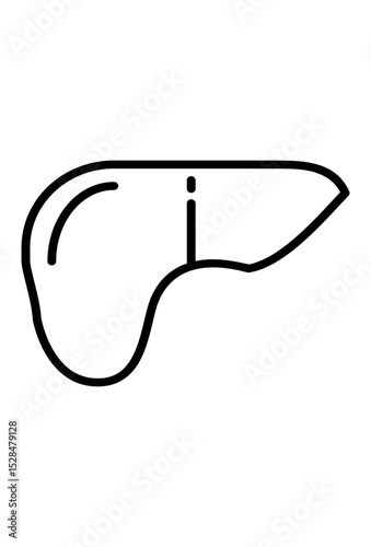 Outlined liver icon.
 Simple anatomical liver drawing.
 Stylized human liver illustration
