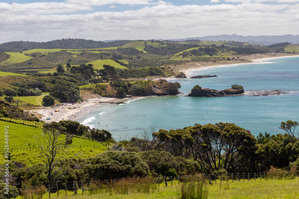 Obraz premium Beachgoers and surfers enjoy a sunny day swimming and relaxing on a beautiful sandy beach in a scenic bay, in Tawharanui, Warkworth, Auckland, New Zealand