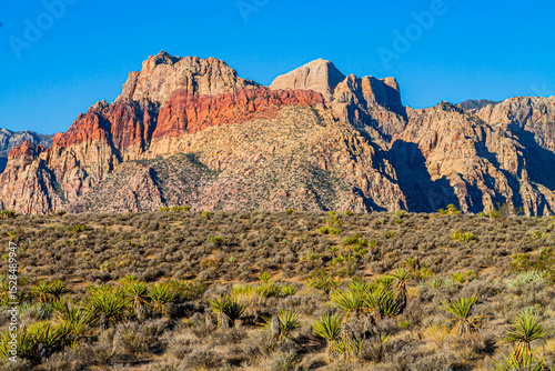 Mojave Desert Landscape With The Rainbow Mountains, Red Rock Canyon National Conservation Area, Nevada, USA photo