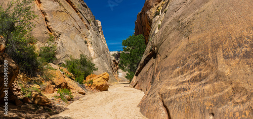 Red Kayenta Sandstone Walls of The Narrows of Lower Hackberry Canyon, Grand Staircase-Escalante National Monument, Utah, USA