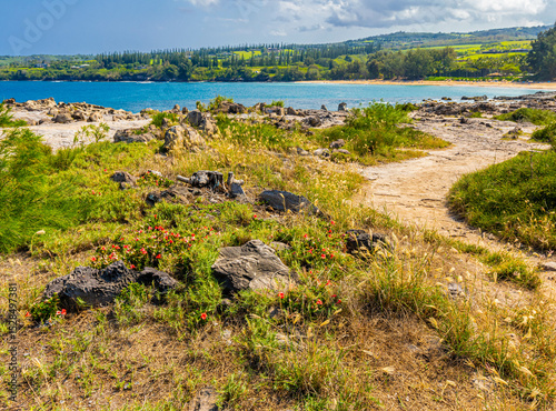 Pathway on Makaluapuna Point, Kapalua Coastal Trail, Kapalua, Maui, Hawaii, USA