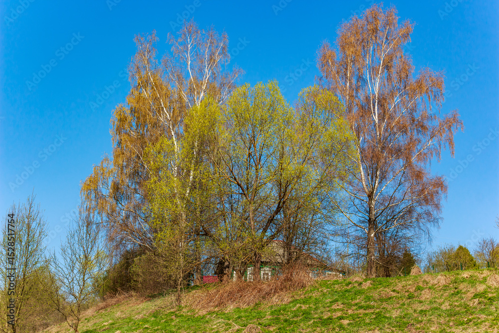 Country house on a hill surrounded by deciduous trees Country house on a hill surrounded by deciduous trees
