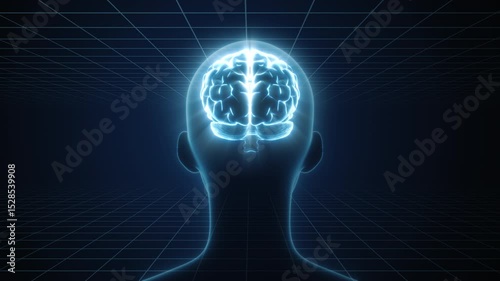  回転する脳と人体CG　3DCGイメージ動画　ループ(4K)