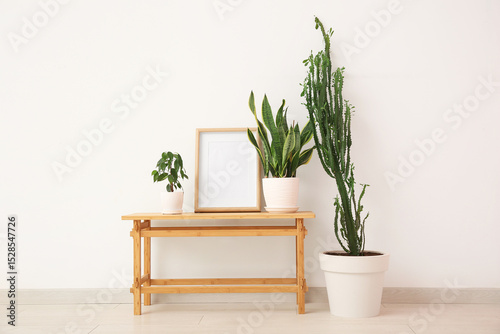 Big cactus with painting, h...
