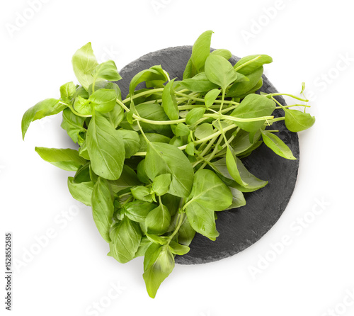 Fresh green basil leaves on...