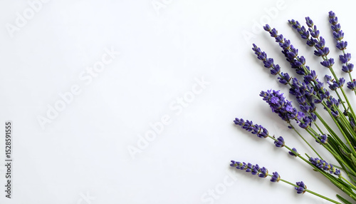 Lavender bouquet on white background