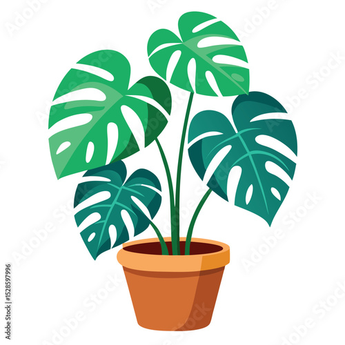 Monstera Indoor Plant – Vector Icon on White Background