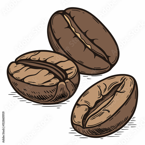 coffee beans on white background