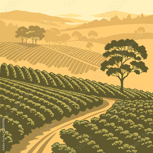 landscape with vineyard