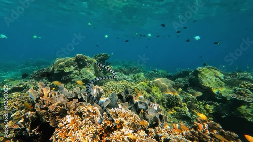 Wallpaper Mural sea snake Torontodigital.ca