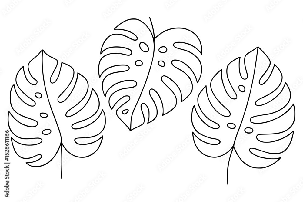 Hand-drawn tropical monstera leaves with black contour isolated vector.