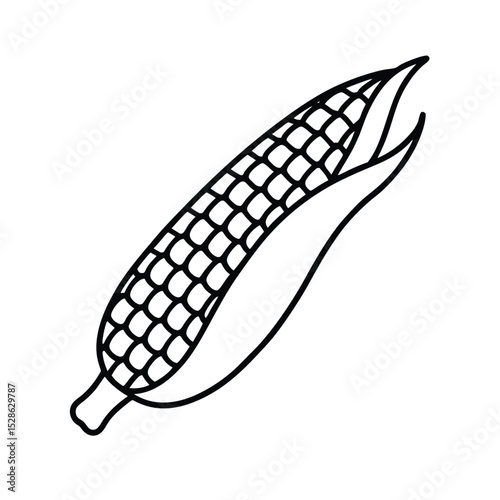 Single ear of corn line drawing illustration