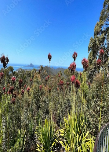 hiking in the mountains