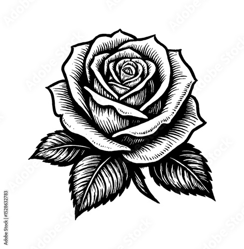 Detailed Black and White Engraving of a Rose with Leaves on a White Background