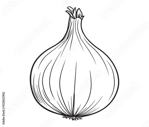 Cartoon onion on white background. Simple black and white onion sketch. 