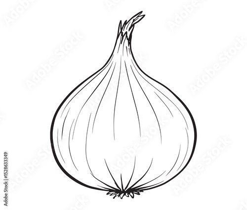 Cartoon onion on white background. Simple black and white onion sketch. 