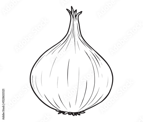 Cartoon onion on white background. Simple black and white onion sketch. 