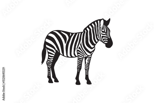 Zebra Line silhouette vector with white background