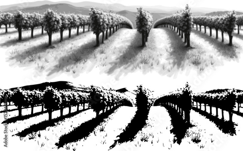 Hand draw vineyard tuscany landscape farm field in monochrome sketch style. Vintage panoramic vector illustration.

