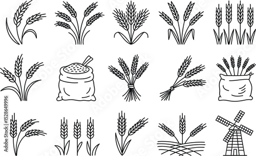 Collection of wheat and grain related illustrations suitable for design and agriculture theme projects