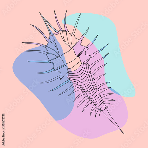 This image of a murex shell with spikes and abstract shapes is perfect for websites and blogs about marine biology, oceanography, nature, scientific illustrations, and invertebrate studies.

