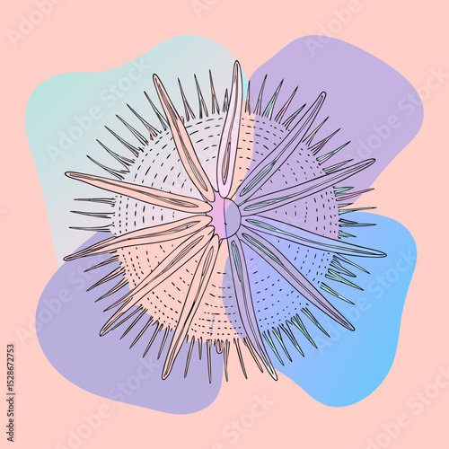 stylized illustration of a sea urchin or star with radiating spines and a central floral shape, against abstract colored forms. Ideal for websites/blogs on marine life, abstract art, science