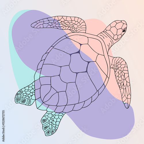 A linear illustration of a sea turtle with overlaid pastel shapes, perfect for blogs on marine life, ocean conservation, or environmental themes.