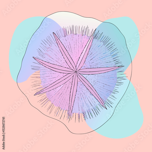 stylized illustration of a sea urchin or star with radiating spines and a central floral shape, against abstract colored forms. Ideal for websites/blogs on marine life, abstract art, science