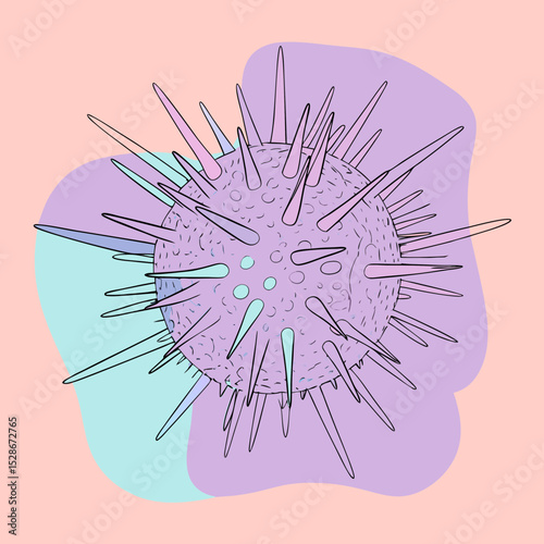 This image features a spiky, spherical microorganism or sea urchin, suitable for websites and blogs about biology, marine life, viruses, science, and abstract patterns.

