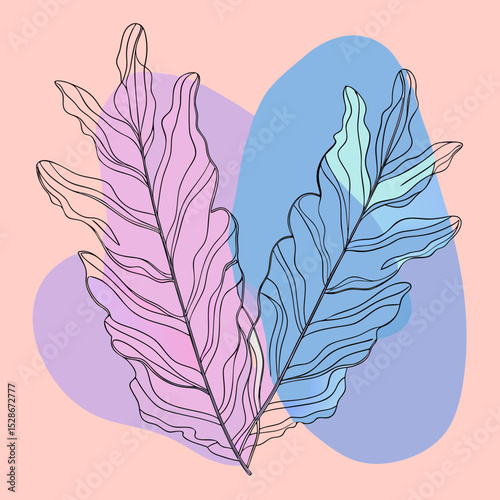 A linear illustration of seaweed with pastel color washes, ideal for blogs on marine plants, ocean ecosystems, or abstract natural designs.