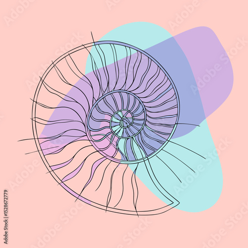 This image of a nautilus shell cross-section is ideal for websites and blogs about marine biology, ocean life, nature patterns, mathematical spirals, and ancient sea creatures.

