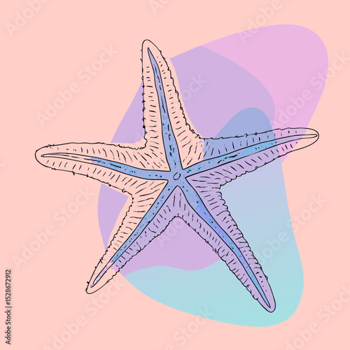 A line illustration of a starfish with pastel color washes, ideal for coastal themes, marine biology blogs, or summer vacation content.