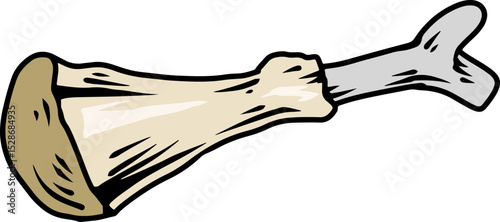 Cartoon leftover chicken bone