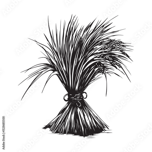 Rice Plant Image Vector. Rice harvest art Black and White Illustration.