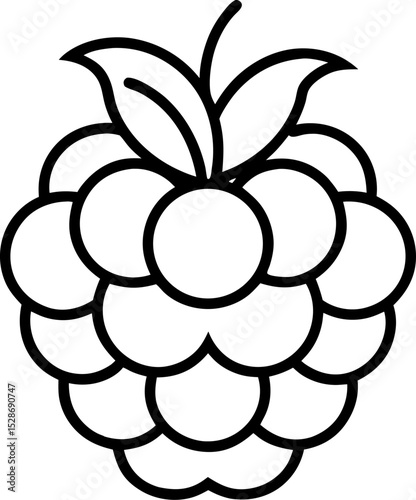 raspberry fruit outline vector illustration – healthy food icon