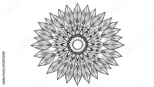 Intricate Geometric Mandala Flower Illustration on White Background