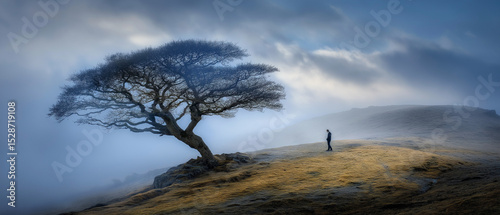 Solitary figure by a twisted tree in misty landscape