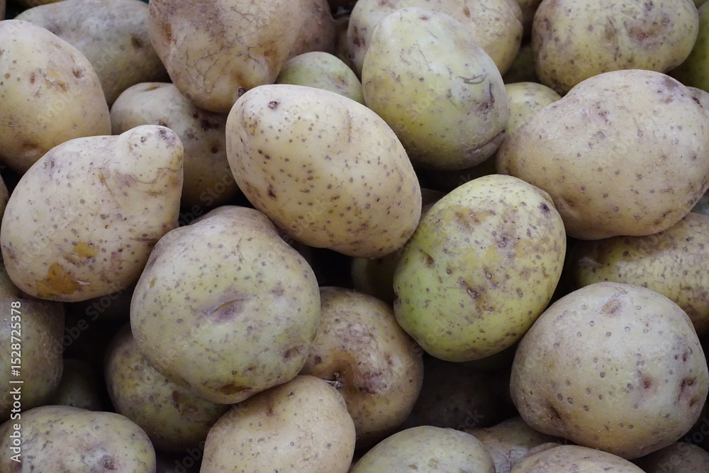 a pile of potatoes in the basket a pile of potatoes in the basket
