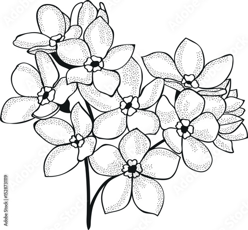 Vector illustrations of numerals and letters decorated with flowers