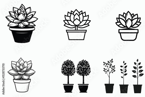 set of plants in pots