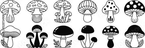 Hand-drawn mushroom illustrations, black and white fungi icons, fantasy forest elements, cute doodle style,
