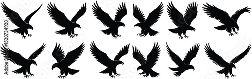 Flying eagle silhouette vector set, predatory bird icons, black hawk illustration, wild raptor design, aggressive wings spread clipart