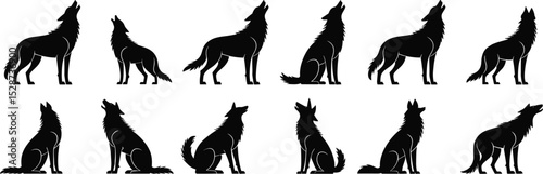 Collection of howling wolf silhouettes, wild animal in sitting and standing pose, vector clipart for forest, nature