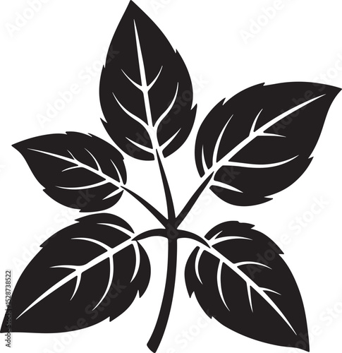 basil leaves silhouette, black and white silhouette, vector and illustration