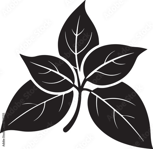 basil leaves silhouette, black and white silhouette, vector and illustration