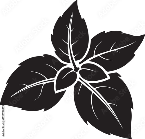 basil leaves silhouette, black and white silhouette, vector and illustration