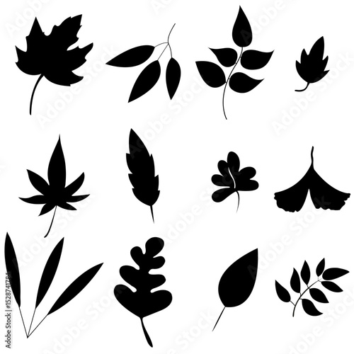 Set of Leaf Bundle Vector File