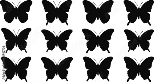 Black butterfly silhouette pattern, vector illustration, insect design, symmetry background, decorative wallpaper, nature art, minimalist butterfly icons, collection